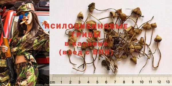 трава Алексеевка