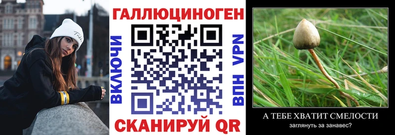 даркнет сайт Алексин mega ссылка Псилоцибиновые грибы мицелий